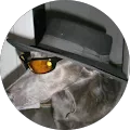 user_profile